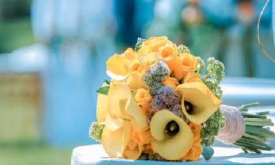 梦到自己穿喜服出嫁解梦(什么星座是渣男)