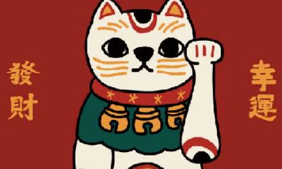 金毛狗起名字叫什么比较好听(吸金聚财的名字)