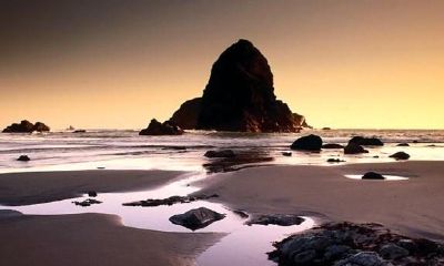 梦到死去的亲人给钱让我买东西(梦见已故亲人再次病危)