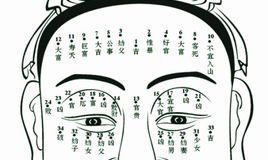 算命中得外财痣什么(狮子座男性格全解)