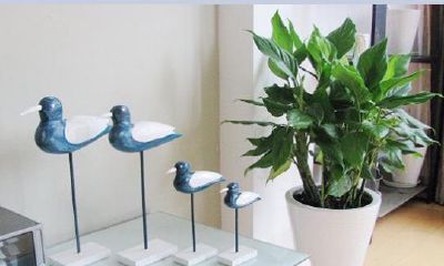 什么花最招财插花(客厅养什么花最招财)