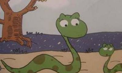 属蛇的人今年好不好(今年生肖蛇的财运怎么样)