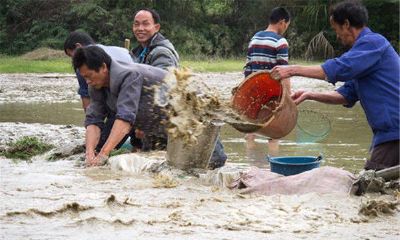 周公解梦梦见自己在水里抓鱼(周公解梦大全查询梦见抓鱼)