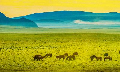 78年属马人2023年(2023年78年属马人每月)