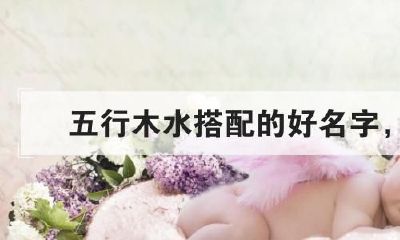 五行偏金带木什么意思(五行带木和水的男孩名)