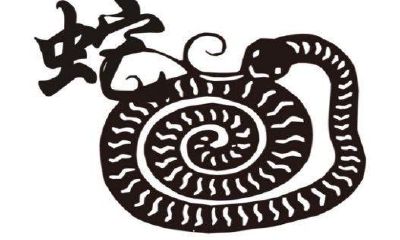 属蛇今年刑太岁怎么办(属蛇的鼠年犯太岁吗)