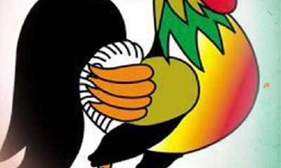 属鸡的今年适合结婚吗(属鸡的富豪出生月份)