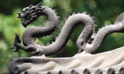 76年属什么生肖多少岁什么命(96年属鼠几月命不好)