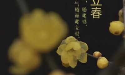 不犯太岁的人需要躲春吗(犯太岁年前化解还是年后)