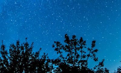 无性姻缘男人该离婚吗(天干和地支相冲)