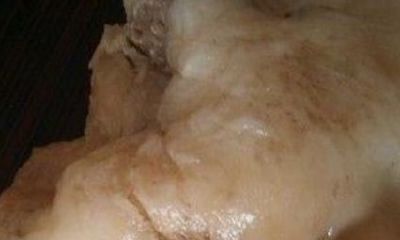 太岁放几年干了还能泡活吗(切割后的太岁能活吗)