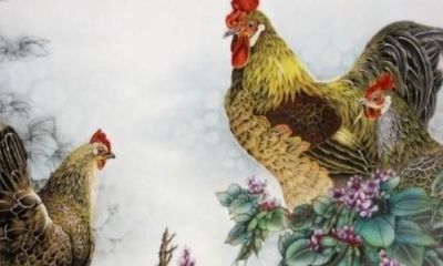 属猴人41岁真有一难吗(80年属猴41岁8月财运)