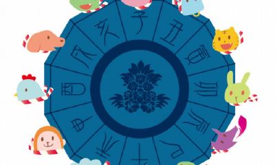 年干与年支相克(年干和时干相克)