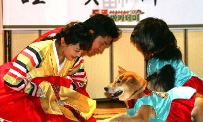 75犯太岁佩戴黄金佛(犯太岁红绳戴哪只手)