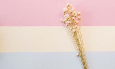 圻字取名好不好(圻字取名的寓意男孩)