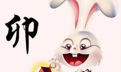 属兔2023年带什么生肖(2023年属兔人戴什么好)