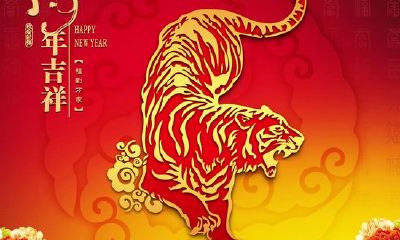 虎年过了是啥年(虎年又称什么年)