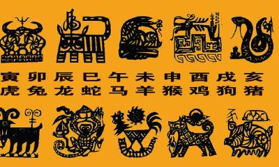 牛年完了是虎年吗(今年是牛年还是虎年)