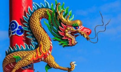 三合盘怎么看珠宝线(赚钱最有天分的生肖女)