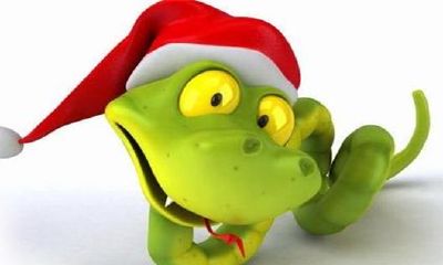 女人梦见床上有蛇在乱跳(女人梦见床上有蛇预示着什么)