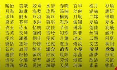 瑶字取名的寓意女孩(珺字取名的寓意女孩)