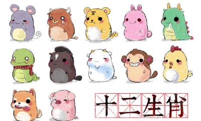 十二生肖属相最大的动物(12生肖排名最大的是什么生肖)