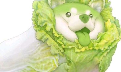 梦到小婴儿是我的孩子(梦见自己有了小婴儿)