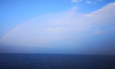 梦见一窝老鼠是什么征兆(女人梦见一窝老鼠代表什么)