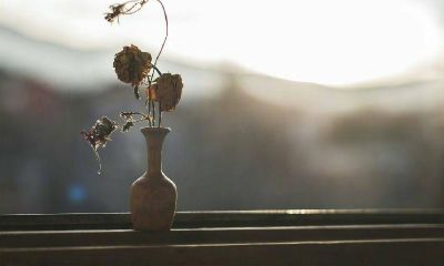 做梦梦到家里的猫受伤(梦见猫咬自己什么预兆)