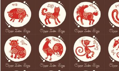 十二地支与属相的关系(十二地支与属相记忆法)