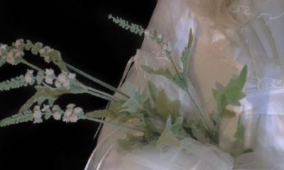 本命年过去了怎么说(本命年怎么算)