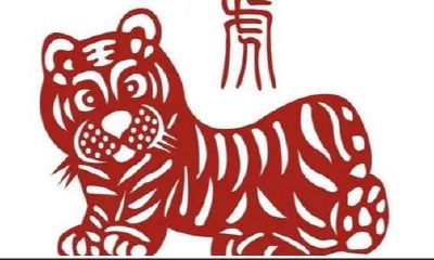 一家三口都属鸡的适合住几楼(93年属鸡适合住几楼)