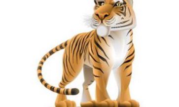 最重情义的生肖女(最重感情的生肖男)