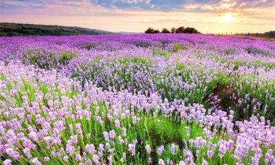 大运和命局三刑(大运流年与命局相刑)