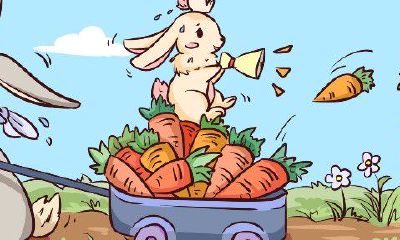 属相龙和兔子做生意(属相龙和什么属相最合)