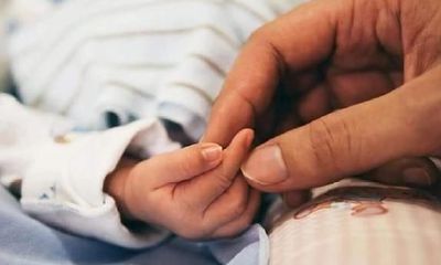 父母与孩子的属相(属鼠跟什么属相犯冲)