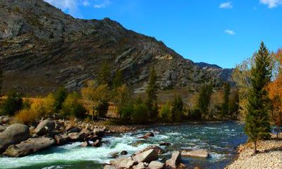 女命正官大运正印流年(女命正官大运特点)