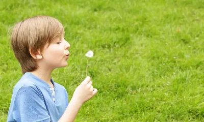 免费自动取名100分陈(陈姓男孩取名要响亮)