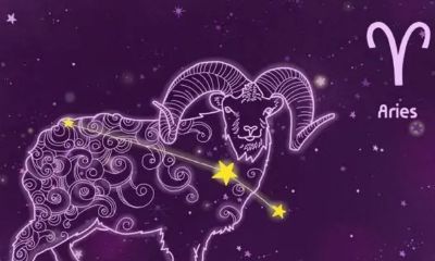 白羊座第一宫(白羊座在十二宫)