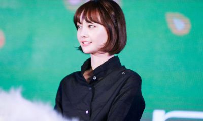 狮子座的小人(伤害狮子座的下场)