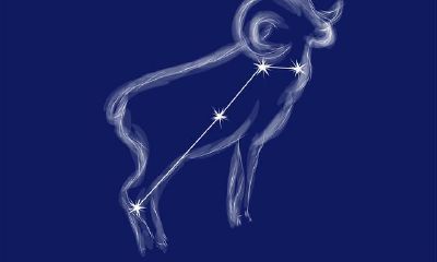 白羊座男生喜欢什么样的女生呀(怎样讨白羊座女生喜欢)