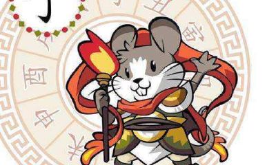 12生肖属相性格短解(属鼠的和什么属相最配)