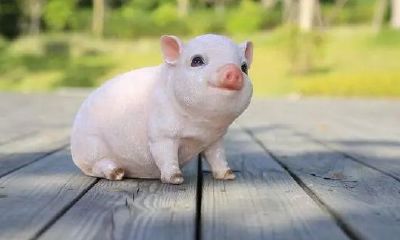 1971年女牛2023年运程(85年属牛女运势)