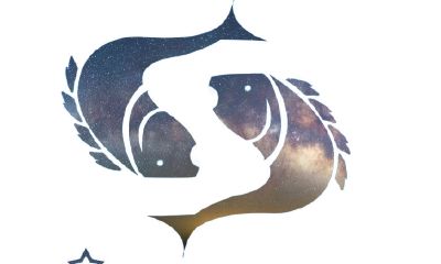 双鱼座最差吗(双鱼座和天蝎座)