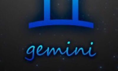 双子什么性格特点(个人性格特点描述)