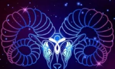 白羊座的描述(十二星座性格特点分析)