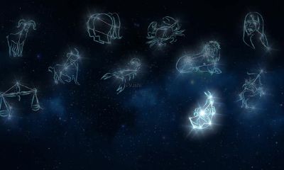 处女座是哪种人格(为啥星座的性格描述真的挺准确的)