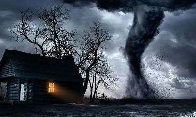 遇到旋风有什么预兆(看到旋风是什么预兆)