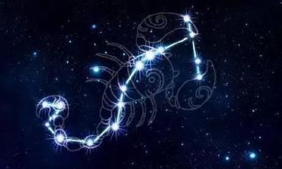 金牛座和天蝎座关系好吗(天蝎座和金牛座的婚姻好不好)