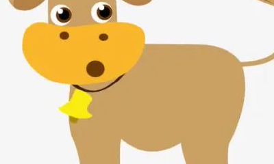 32岁属龙女的姻缘2023(属龙女和属兔男姻缘怎么样)